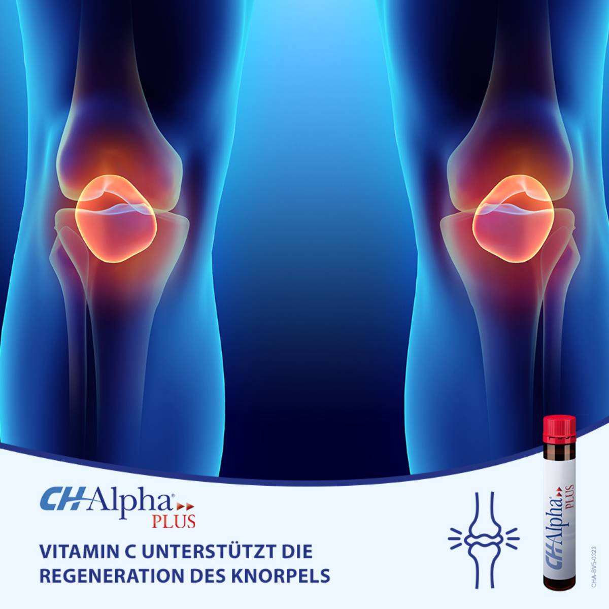 Công dụng của CH-Alpha Plus đối với sụn khớp